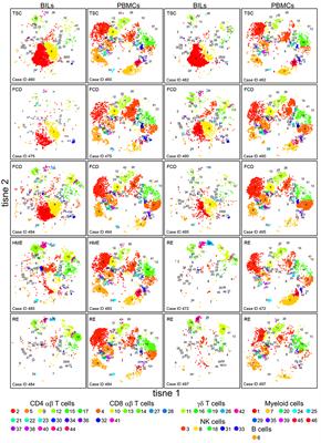 Evidence for Innate and Adaptive Immune Responses in a Cohort of Intractable Pediatric Epilepsy Surgery Patients